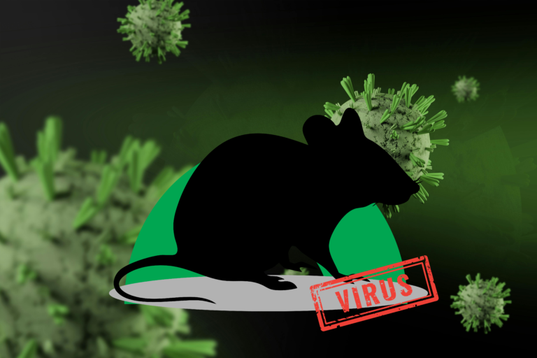 Why Rising Hantavirus Warnings Could Impact Travel, Housing, and Healthcare Costs