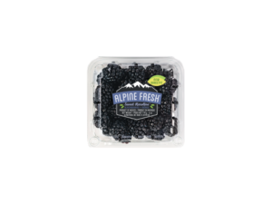 Super Sweet Blackberries